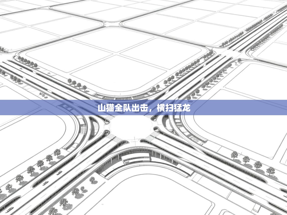 山猫全队出击，横扫猛龙